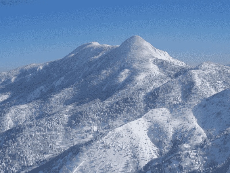 借卵子做试管婴儿费用（大同做试管医院）